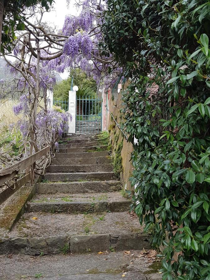 Apartamento Casa Zagare Sul Mare Levanto Exterior foto